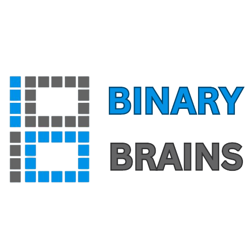 Binary Brains